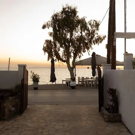 The Waves * Monodhéndrion