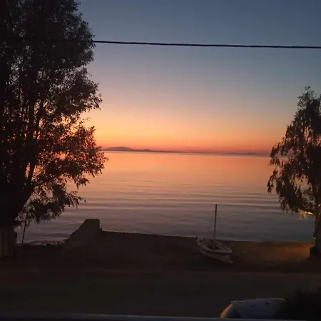 The Waves * Monodhéndrion