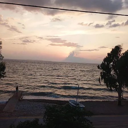 The Waves Lejlighed *