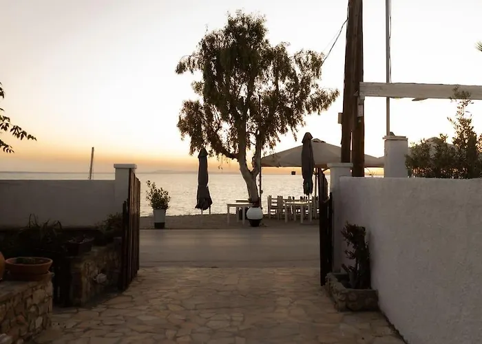 The Waves * Monodhéndrion