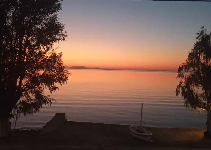 The Waves * Monodhéndrion